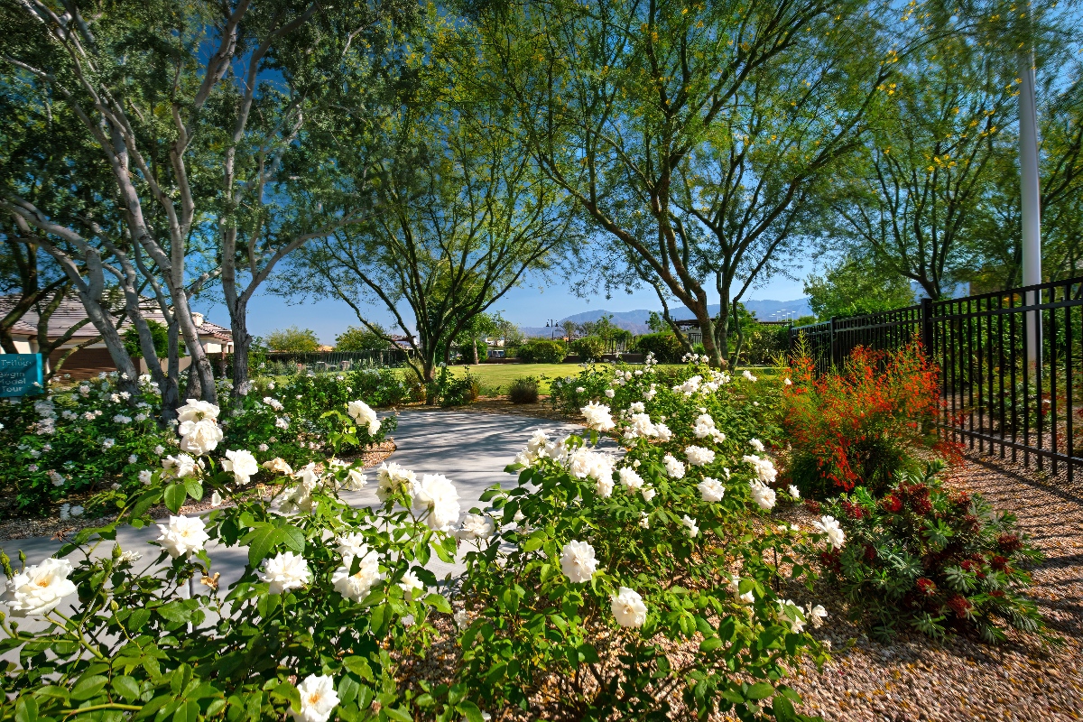 The Polo Club - Commercial Landscaping by ConserveLandCare