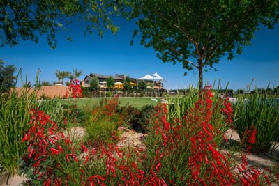 The Polo Club - Commercial Landscaping by ConserveLandCare